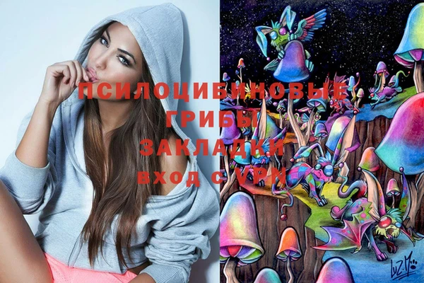 молекула духа Балахна