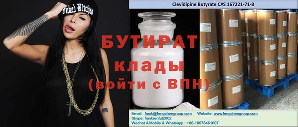 хмурый Аркадак