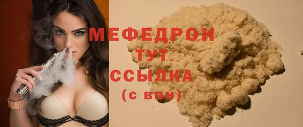 хмурый Аркадак