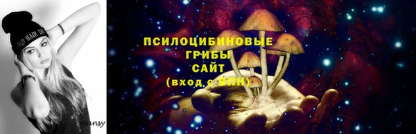 спайс Арсеньев