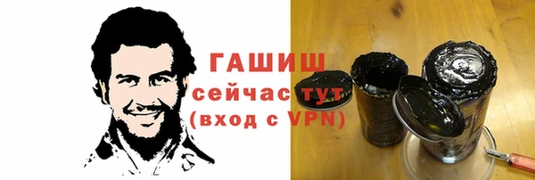 хмурый Аркадак