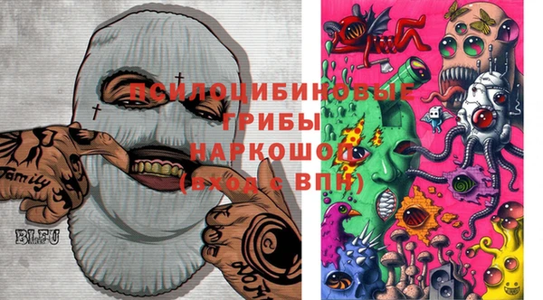 спайс Арсеньев