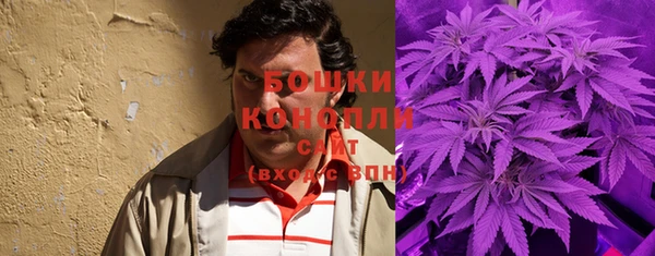 ГАЛЛЮЦИНОГЕННЫЕ ГРИБЫ Балабаново
