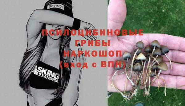 спайс Арсеньев