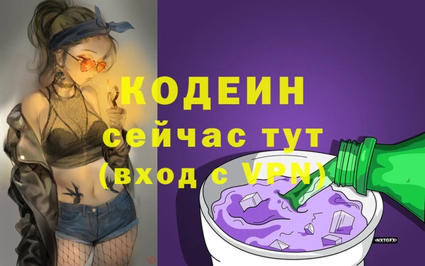 хмурый Аркадак